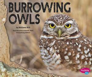 Burrowing Owls de Melissa Hill