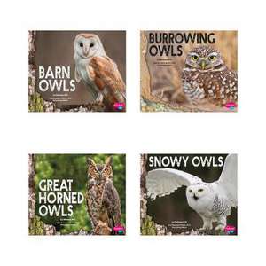 Owls de Melissa Hill