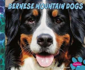 Bernese Mountain Dogs de Blake Hoena