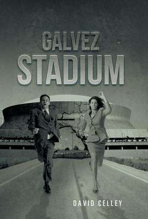 Galvez Stadium de David Celley