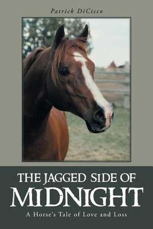 The Jagged Side of Midnight de Patrick Dicicco