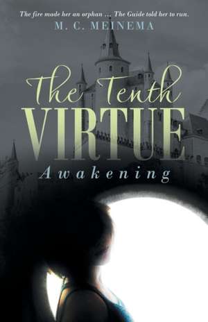 The Tenth Virtue de M. C. Meinema