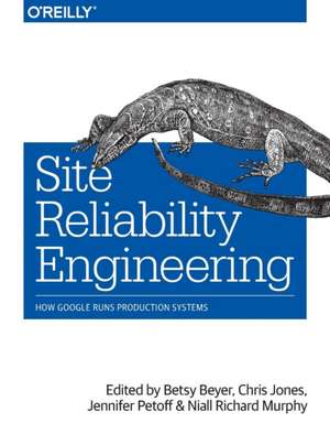 Site Reliability Engineering de Betsy Beyer