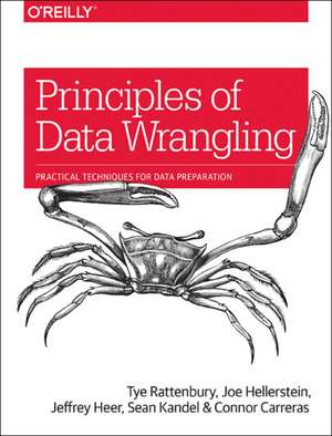 Principles of Data Wrangling de Tye Rattenbury