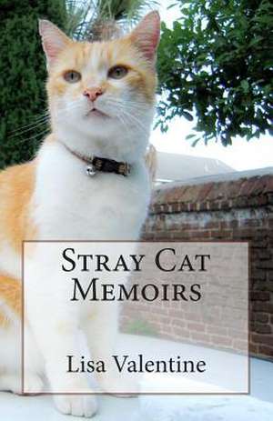 Stray Cat Memoirs de Lisa M. Valentine