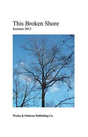 This Broken Shore de Daniel Weeks