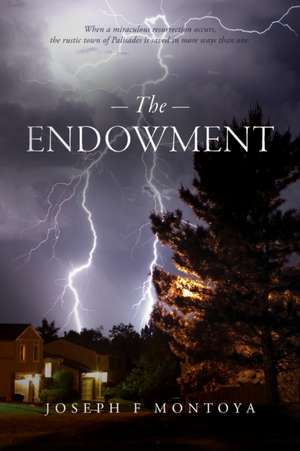 The Endowment de Joseph F Montoya