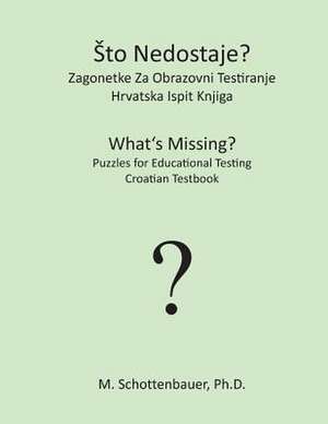 To Nedostaje? Zagonetke Za Obrazovni Testiranje de M. Schottenbauer