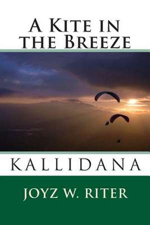 A Kite in the Breeze de Joyz W. Riter