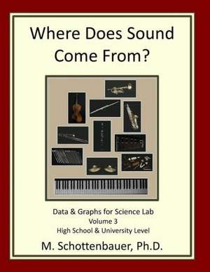 Where Does Sound Come From? Data & Graphs for Science Lab: Volume 3 de M. Schottenbauer