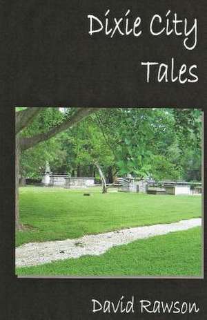 Dixie City Tales de David Rawson