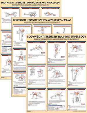 Bodyweight Strength Training Anatomy Poster Series de Human Kinetics