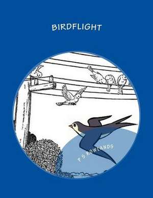 Birdflight de P. S. Rowlands