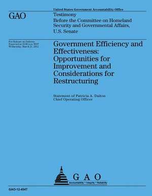 Government Efficiency and Effectiveness de Government Accountability Office (U S )