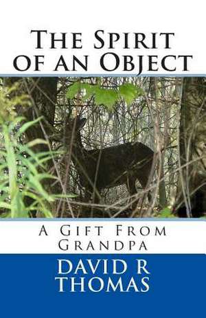 The Spirit of an Object de David R. Thomas