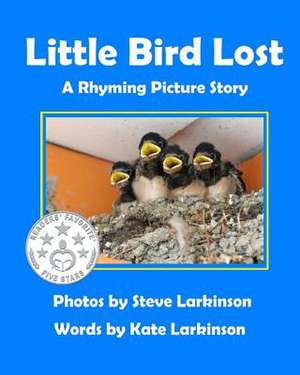 Little Bird Lost de Steve Larkinson