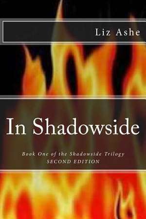 In Shadowside de Liz Ashe