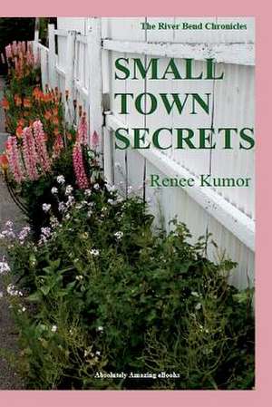 Small Town Secrets de Renee Kumor