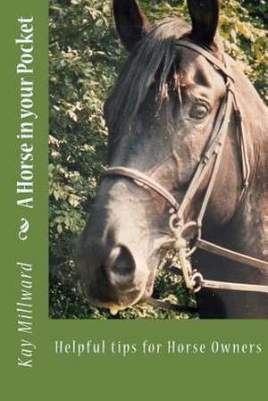 A Horse in Your Pocket de Kay Millward