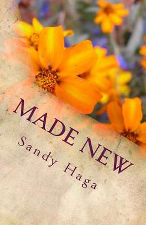 Made New de Sandy Haga