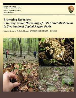 Protecting Resources de National Park Service