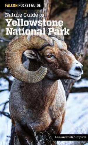 Nature Guide to Yellowstone National Park de Ann Simpson