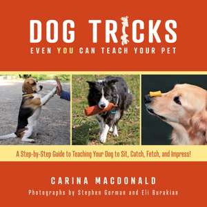 Dog Tricks Even You Can Teach Your Pet de Carina Macdonald