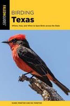 Birding Texas de Nic Minetor