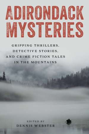 Adirondack Mysteries de Dennis Webster