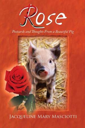 Rose - Postcards and Thoughts from a Beautiful Pig de Jacqueline Mary Masciotti