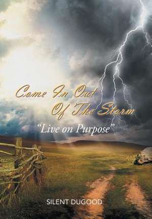 Come in Out of the Storm de Silent Dugood