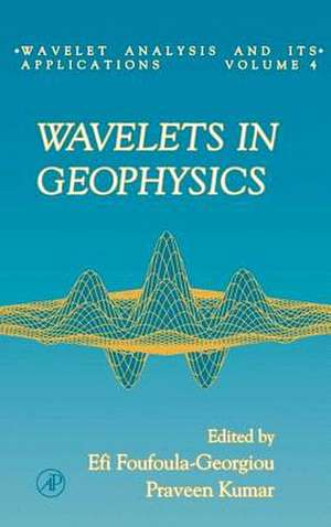 Wavelets in Geophysics de Efi Foufoula-Georgiou