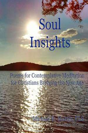 Soul Insights de Michael R. Martin