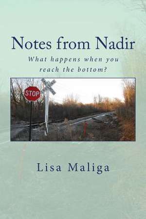 Notes from Nadir de Lisa Maliga