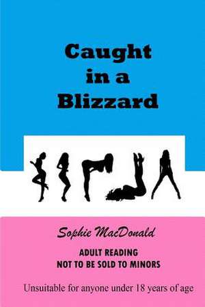 Caught in a Blizzard de Sophie MacDonald