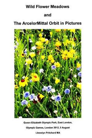 Wild Flower Meadows and the Arcelormittal Orbit in Pictures de Llewelyn Pritchard