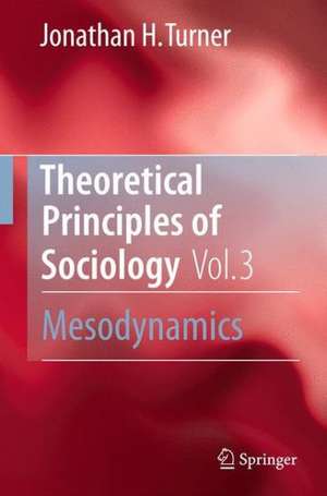 Theoretical Principles of Sociology, Volume 3: Mesodynamics de Jonathan H. Turner