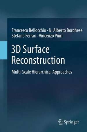 3D Surface Reconstruction: Multi-Scale Hierarchical Approaches de Francesco Bellocchio