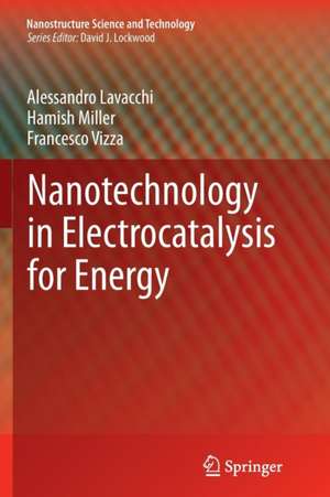 Nanotechnology in Electrocatalysis for Energy de Alessandro Lavacchi