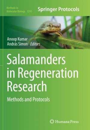 Salamanders in Regeneration Research: Methods and Protocols de Anoop Kumar