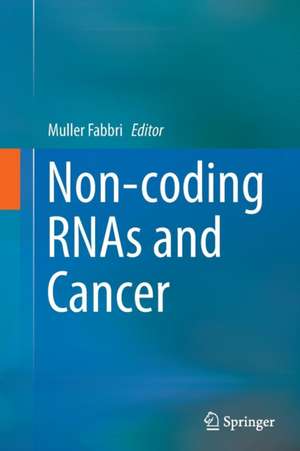 Non-coding RNAs and Cancer de Muller Fabbri