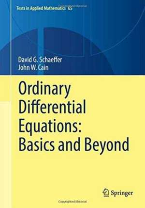 Ordinary Differential Equations: Basics and Beyond de David G. Schaeffer