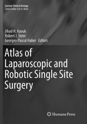 Atlas of Laparoscopic and Robotic Single Site Surgery de Jihad H. Kaouk