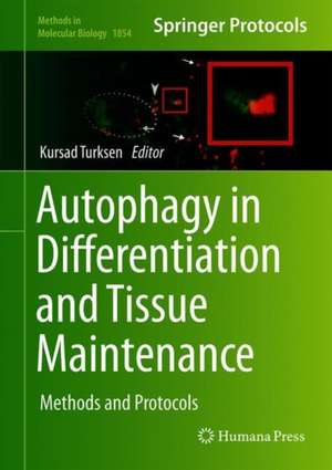 Autophagy in Differentiation and Tissue Maintenance: Methods and Protocols de Kursad Turksen