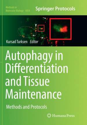 Autophagy in Differentiation and Tissue Maintenance: Methods and Protocols de Kursad Turksen