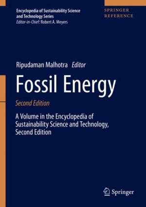 Fossil Energy de Ripudaman Malhotra