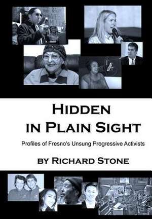 Hidden in Plain Sight de Richard Stone