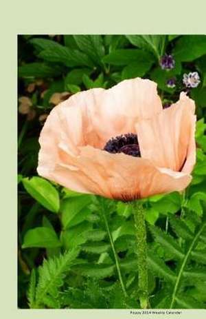 Poppy 2014 Weekly Calendar de K. Rose