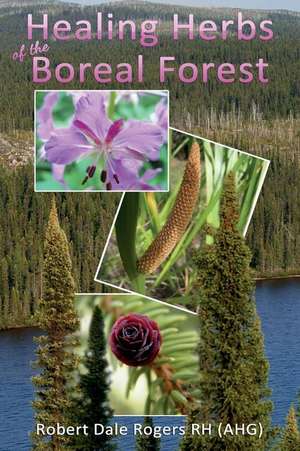 Healing Herbs of the Boreal Forest de Robert Dale Rogers Rh