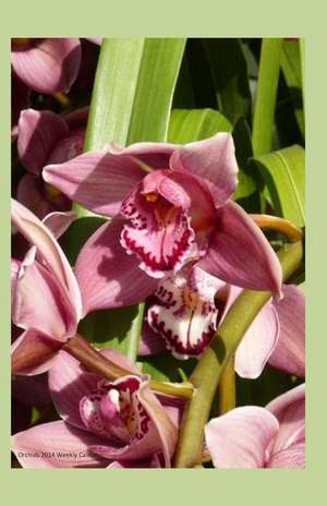 Orchids 2014 Weekly Calender de K. Rose